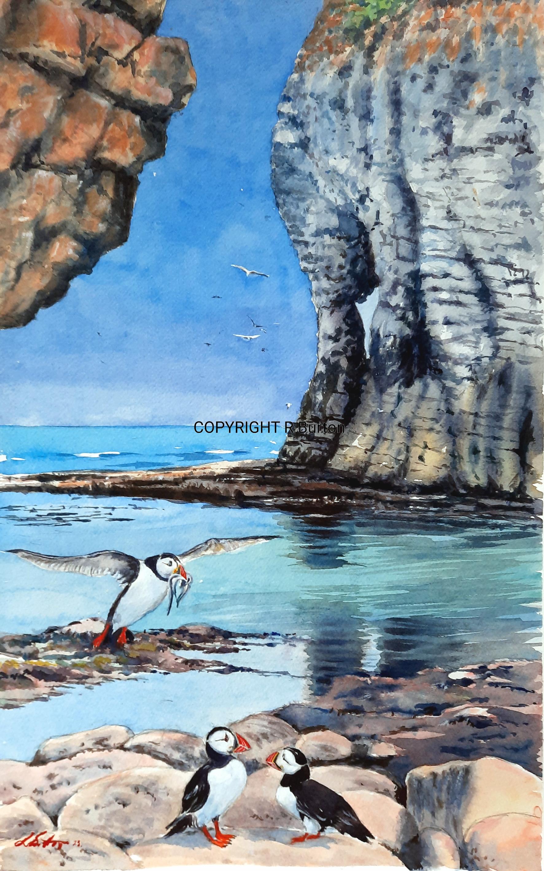 Flamborough Puffins SOLD